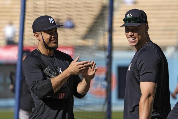 Yankees warm up shirt deals